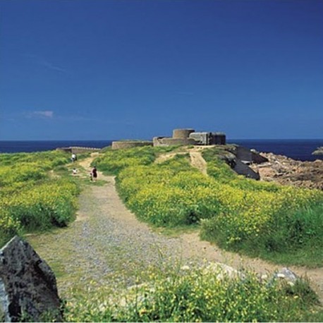 Ile D'aurigny randonnée liberté dans les iles anglo normandes guernesey herm et aurigny