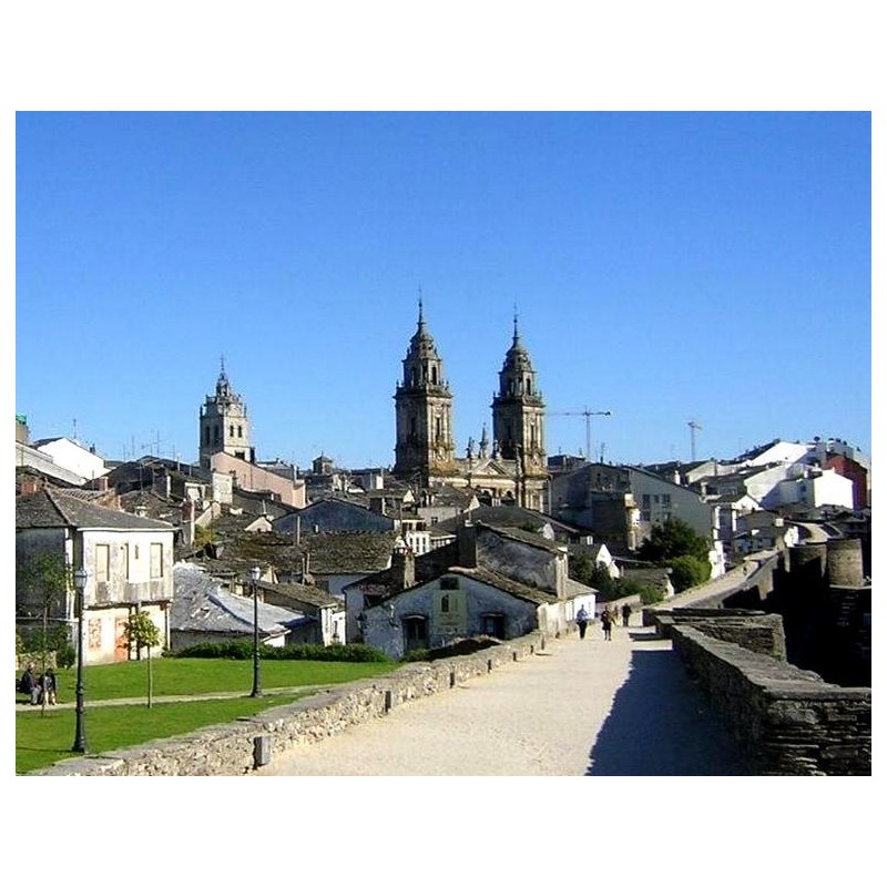 Le Sentier Oviedo - Texte, Introduction Et Commentaire Par L.